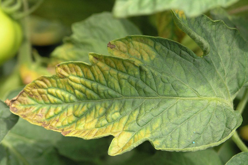 Недостаток калия